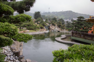 pond at Nan Lian Garden, Diamond Hill, Kowloon, Hongkong pond at Nan Lian Garden, Diamond Hill, Kowloon, Hongkong